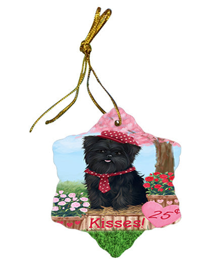 Rosie 25 Cent Kisses Affenpinscher Dog Star Porcelain Ornament SPOR56105