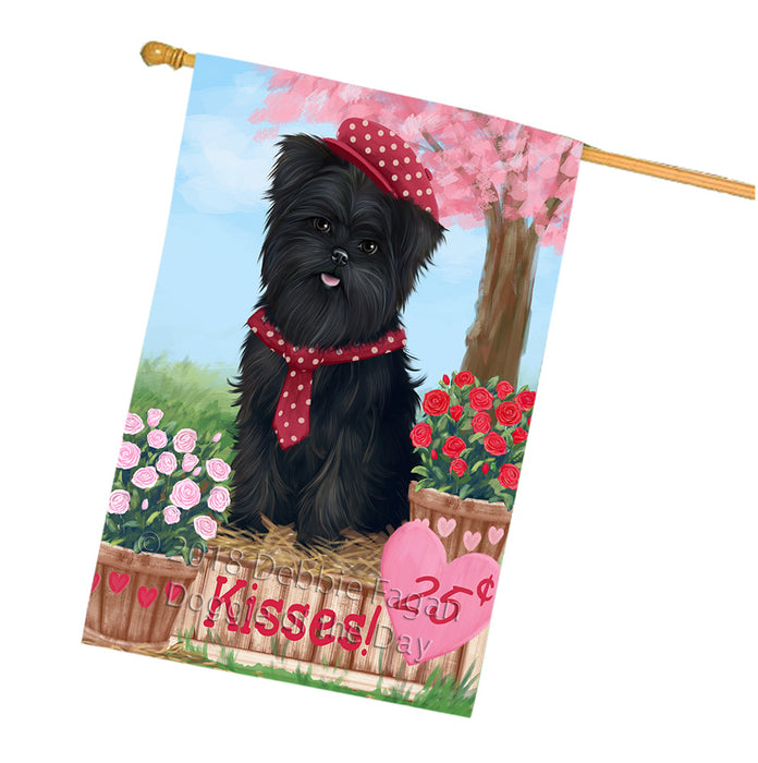 Rosie 25 Cent Kisses Affenpinscher Dog House Flag FLG56433