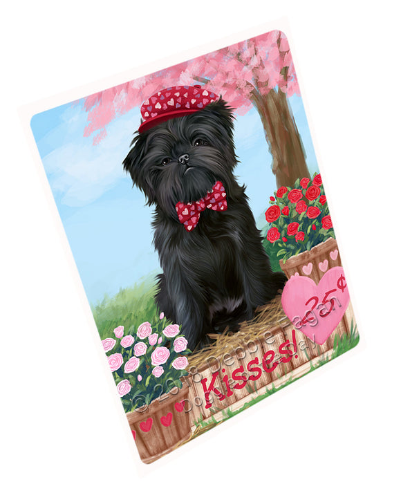 Rosie 25 Cent Kisses Affenpinscher Dog Magnet MAG72387 (Small 5.5" x 4.25")