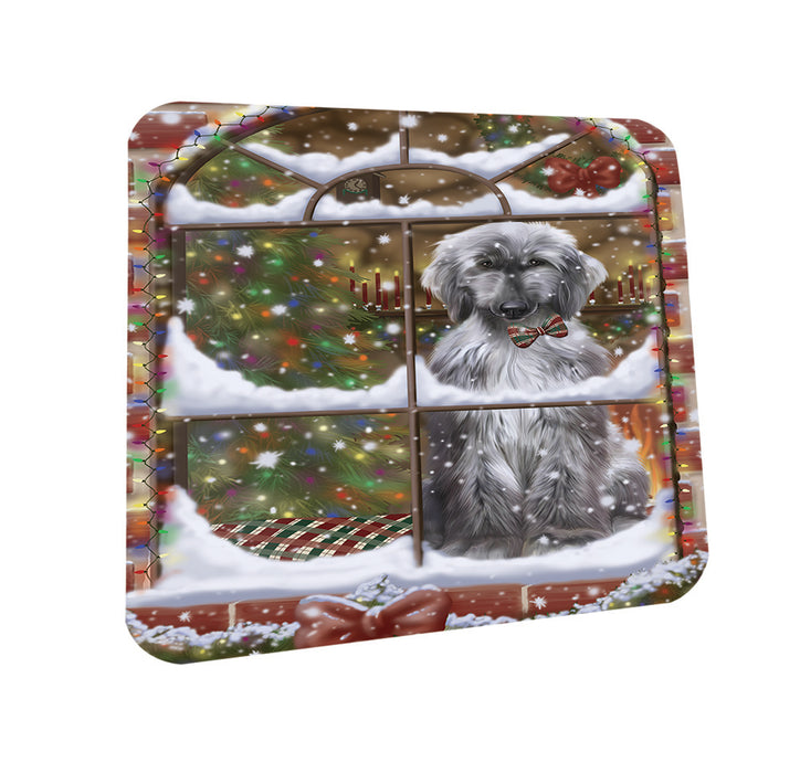 Please Come Home For Christmas Afghan Hound Dog Sitting In Window Coasters Set of 4 CST53564