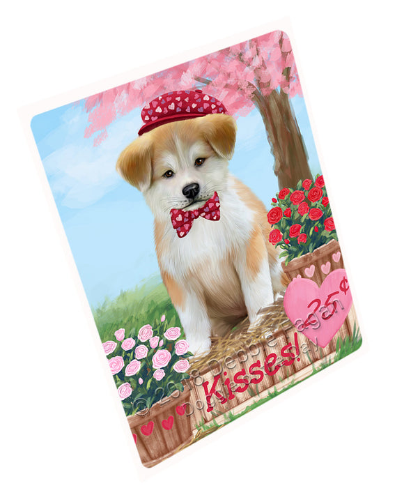 Rosie 25 Cent Kisses Akita Dog Large Refrigerator / Dishwasher Magnet RMAG96828