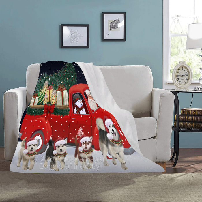 Christmas Express Delivery Red Truck Running Alaskan Malamute Dogs Blanket BLNKT141658
