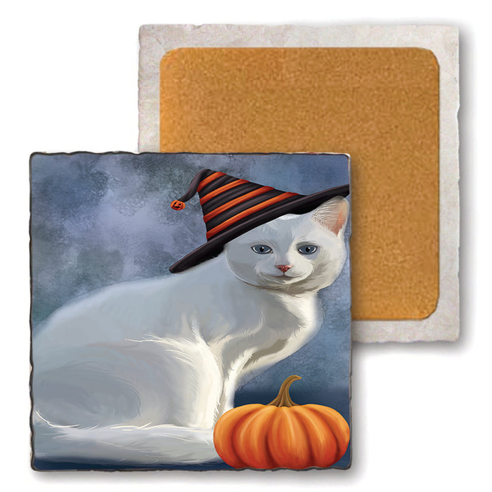 Happy Halloween Albino Cat Wearing Witch Hat with Pumpkin Set of 4 Natural Stone Marble Tile Coasters MCST49783