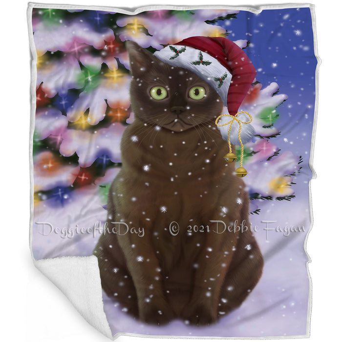Winterland Wonderland American Bermese Zibeline Cat In Christmas Holiday Scenic Background Blanket BLNKT120504