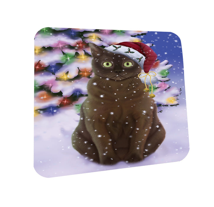Winterland Wonderland American Bermese Zibeline Cat In Christmas Holiday Scenic Background Coasters Set of 4 CST55634