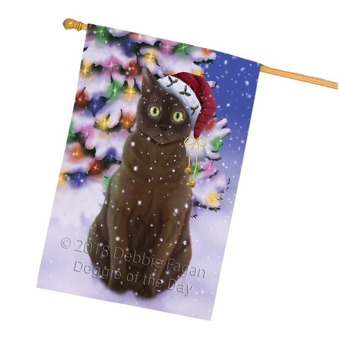 Winterland Wonderland American Bermese Zibeline Cat In Christmas Holiday Scenic Background House Flag FLG56105