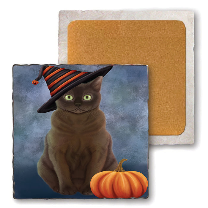 Happy Halloween American Burmese Zibeline Cat Wearing Witch Hat with Pumpkin Set of 4 Natural Stone Marble Tile Coasters MCST49852