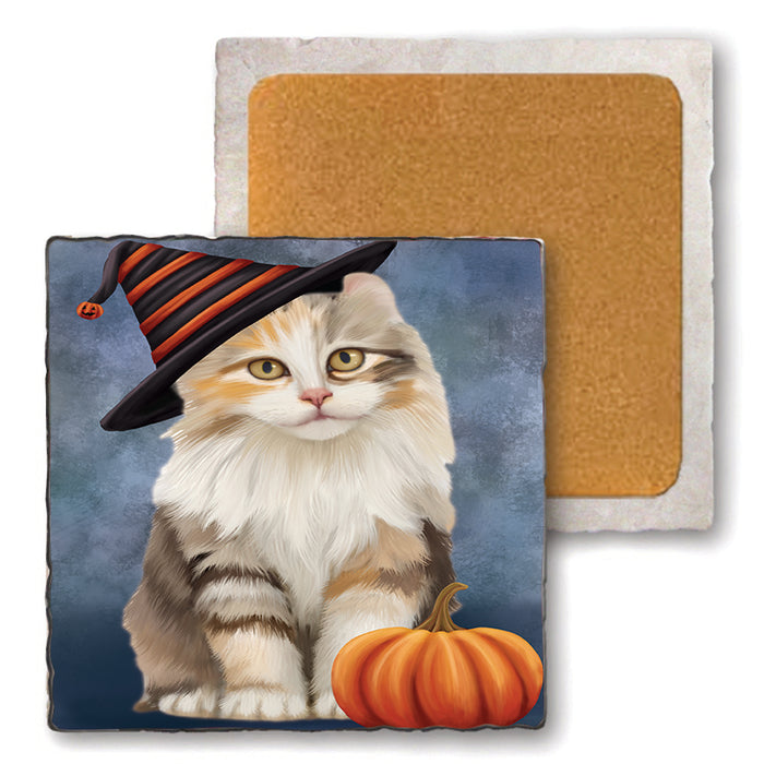 Happy Halloween American Curl Cat Wearing Witch Hat with Pumpkin Set of 4 Natural Stone Marble Tile Coasters MCST49853