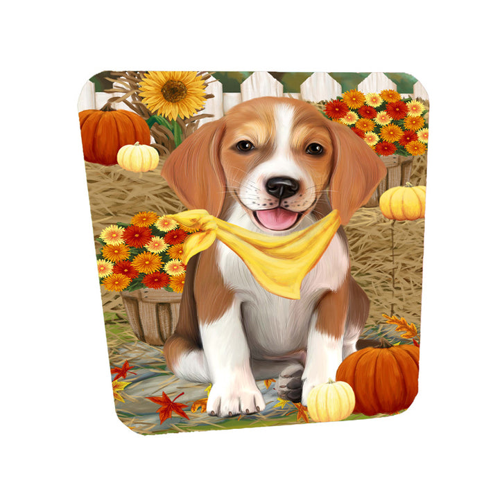 Fall Pumpkin Autumn Greeting American English Foxhound Dog Coasters Set of 4 CSTA58495