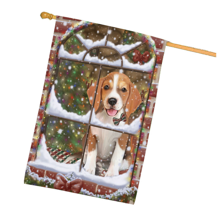 Please come Home for Christmas American English Foxhound Dog House Flag Outdoor Decorative Double Sided Pet Portrait Weather Resistant Premium Quality Animal Printed Home Decorative Flags 100% Polyester FLG67967