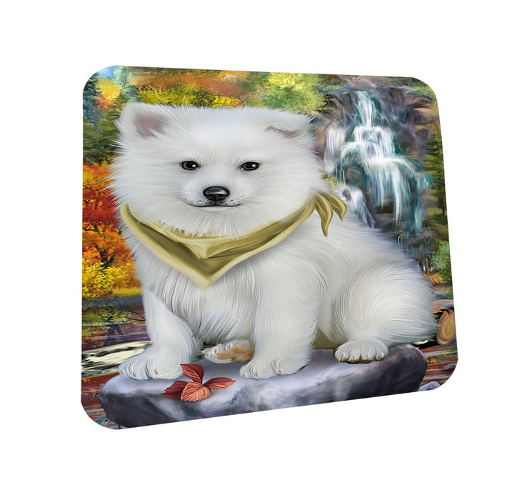 Scenic Waterfall American Eskimo Dog Coasters Set of 4 CST49582