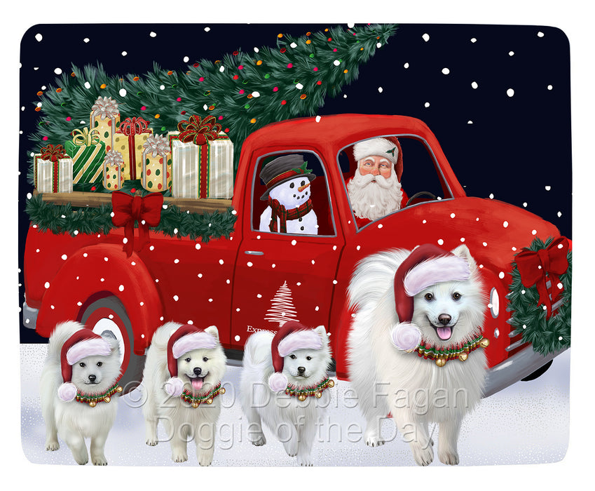 Christmas Express Delivery Red Truck Running American Eskimo Dogs Blanket BLNKT141663