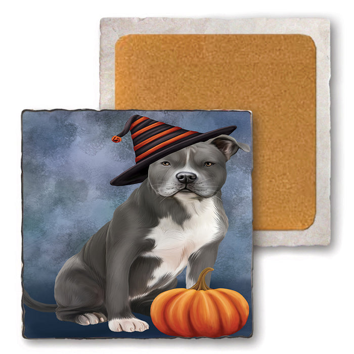 Happy Halloween American Staffordshire Terrier Dog Wearing Witch Hat with Pumpkin Set of 4 Natural Stone Marble Tile Coasters MCST49710