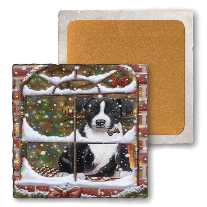 Please Come Home For Christmas American Staffordshire Terrier Dog Sitting In Window Set of 4 Natural Stone Marble Tile Coasters MCST48608