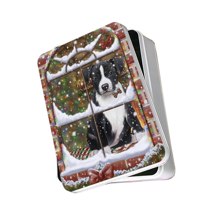 Please Come Home For Christmas American Staffordshire Terrier Dog Sitting In Window Photo Storage Tin PITN57522