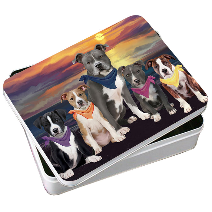 Family Sunset Portrait American Staffordshire Terriers Dog Photo Storage Tin PITN52477