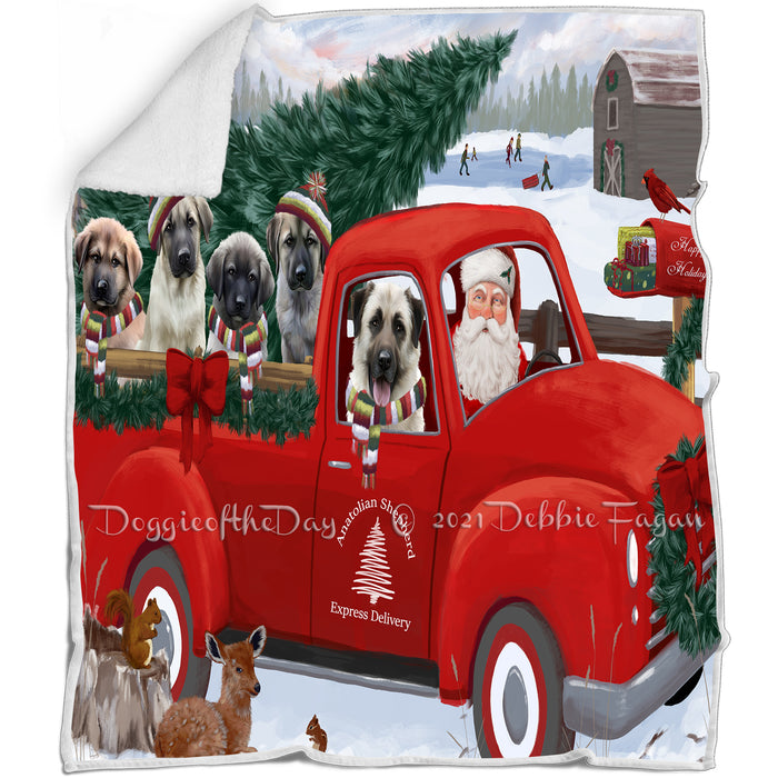 Christmas Santa Express Delivery Red Truck Anatolian Shepherds Dog Family Blanket BLNKT112377