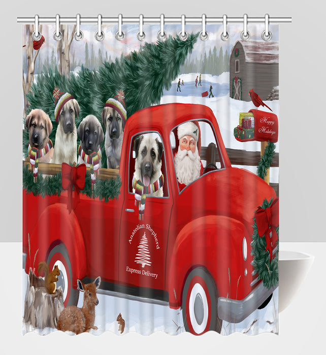 Christmas Santa Express Delivery Red Truck Anatolian Shepherd Dogs Shower Curtain