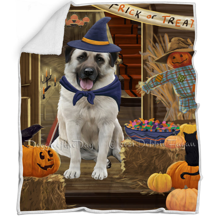 Enter at Own Risk Trick or Treat Halloween Anatolian Shepherd Dog Blanket BLNKT93882