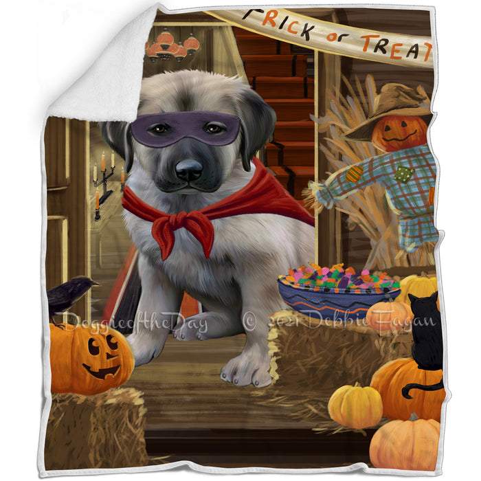 Enter at Own Risk Trick or Treat Halloween Anatolian Shepherd Dog Blanket BLNKT93891
