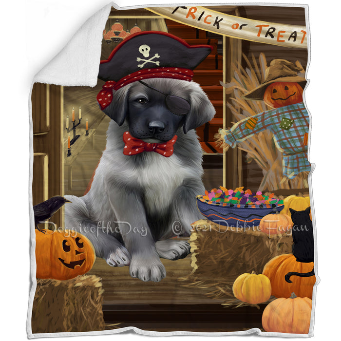 Enter at Own Risk Trick or Treat Halloween Anatolian Shepherd Dog Blanket BLNKT93900