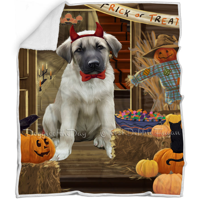 Enter at Own Risk Trick or Treat Halloween Anatolian Shepherd Dog Blanket BLNKT93909