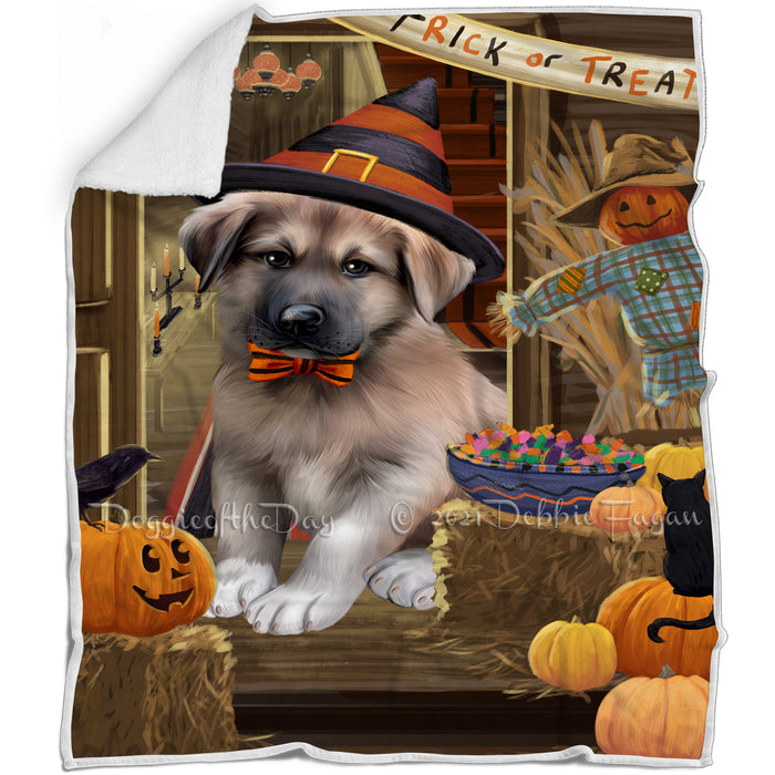 Enter at Own Risk Trick or Treat Halloween Anatolian Shepherd Dog Blanket BLNKT93918