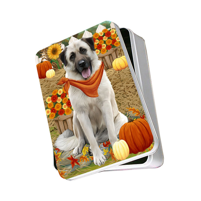 Fall Autumn Greeting Anatolian Shepherd Dog with Pumpkins Photo Storage Tin PITN50665