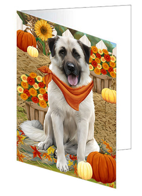 Fall Autumn Greeting Anatolian Shepherd Dog with Pumpkins Handmade Artwork Assorted Pets Greeting Cards and Note Cards with Envelopes for All Occasions and Holiday Seasons GCD56024