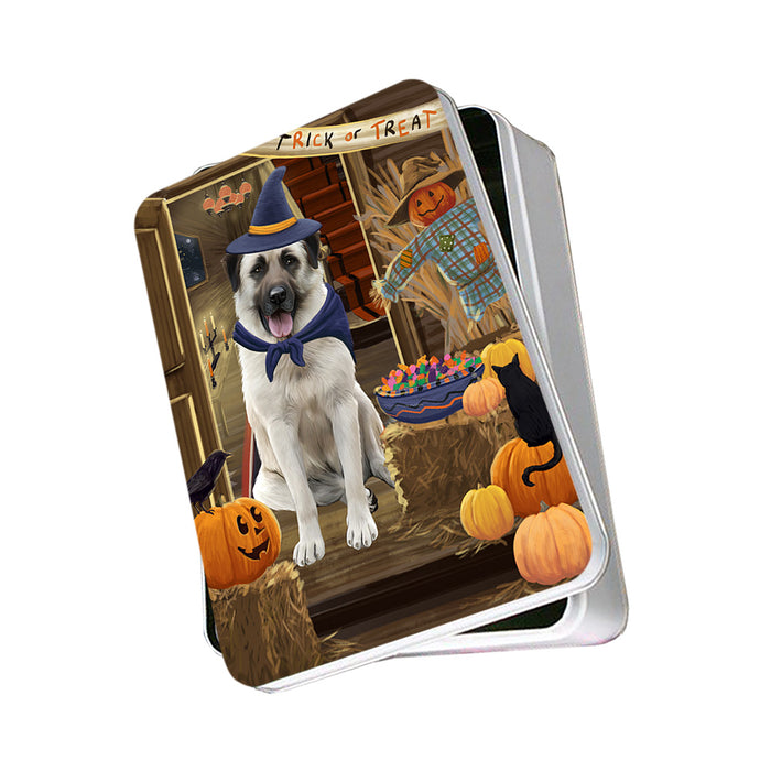 Enter at Own Risk Trick or Treat Halloween Anatolian Shepherd Dog Photo Storage Tin PITN52949