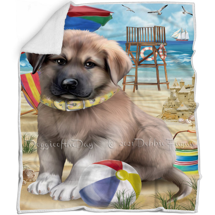 Pet Friendly Beach Anatolian Shepherd Dog Blanket BLNKT65325