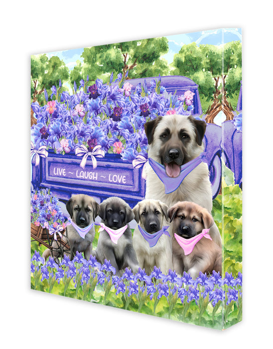 Anatolian Shepherd Dogs Canvas: Explore a Variety of Designs, Custom, Digital Art Wall Painting, Personalized, Ready to Hang Halloween Room Decor, Gift for Pet and Dog Lovers