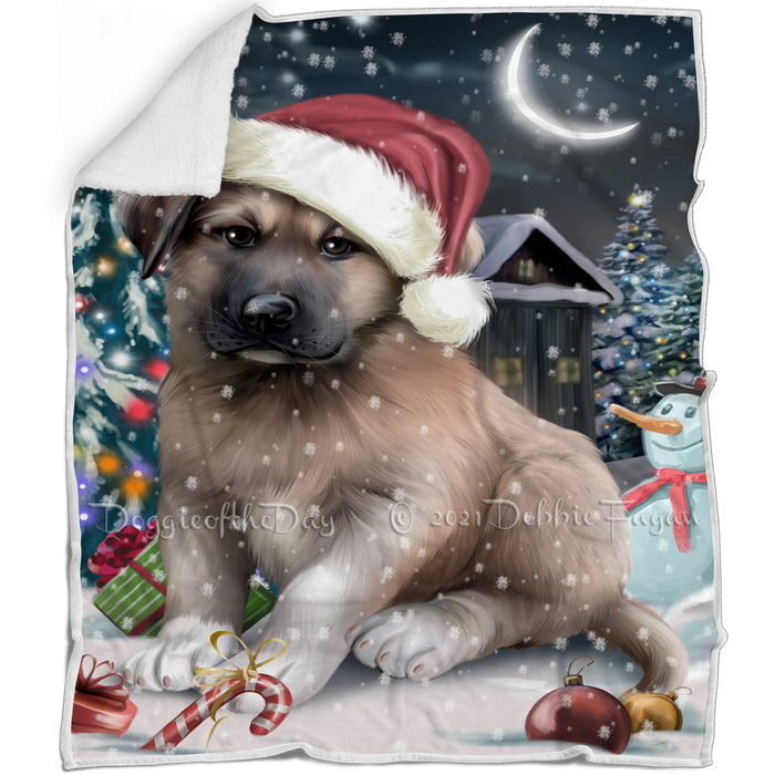Have a Holly Jolly Christmas Anatolian Shepherd Dog in Holiday Background Blanket D005