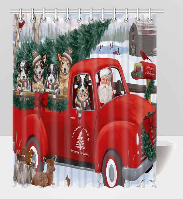 Christmas Santa Express Delivery Red Truck Australian Cattle Dogs Shower Curtain