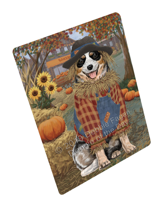 Halloween 'Round Town And Fall Pumpkin Scarecrow Both Australian Cattle Dogs Magnet MAG77203 (Small 5.5" x 4.25")