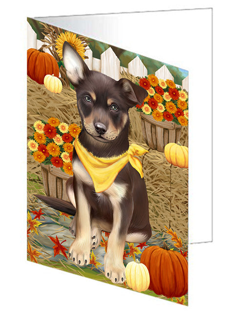 Fall Autumn Greeting Australian Kelpie Dog with Pumpkins Handmade Artwork Assorted Pets Greeting Cards and Note Cards with Envelopes for All Occasions and Holiday Seasons GCD56045