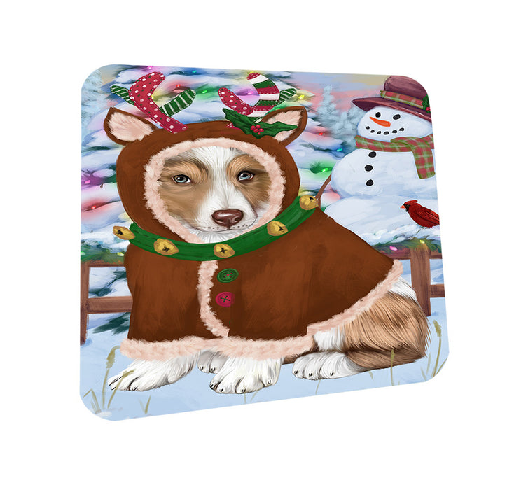 Christmas Gingerbread House Candyfest Australian Shepherd Dog Coasters Set of 4 CST56113