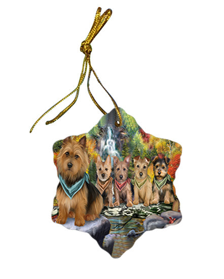 Scenic Waterfall Australian Terriers Dog Star Porcelain Ornament SPOR50140