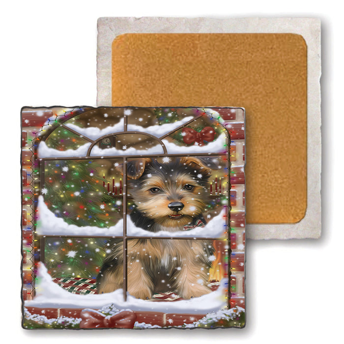 Please Come Home For Christmas Australian Terrier Dog Sitting In Window Set of 4 Natural Stone Marble Tile Coasters MCST48612