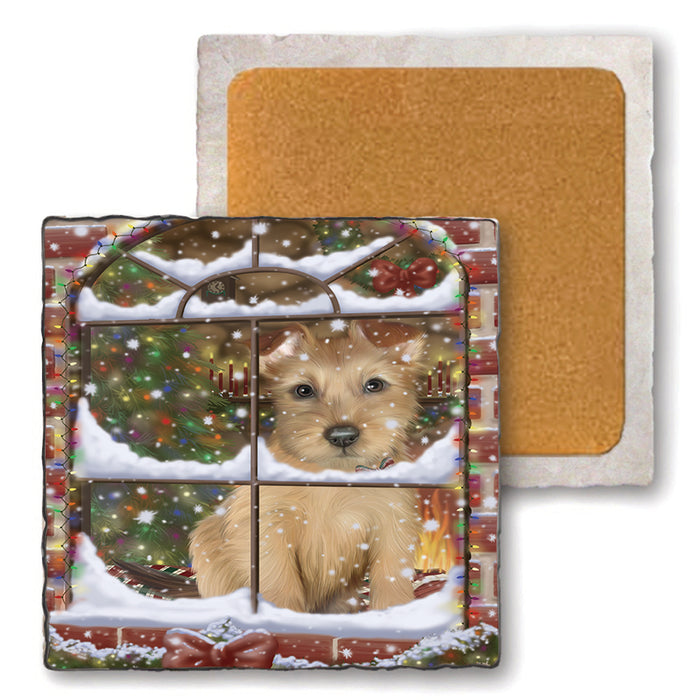 Please Come Home For Christmas Australian Terrier Dog Sitting In Window Set of 4 Natural Stone Marble Tile Coasters MCST48613