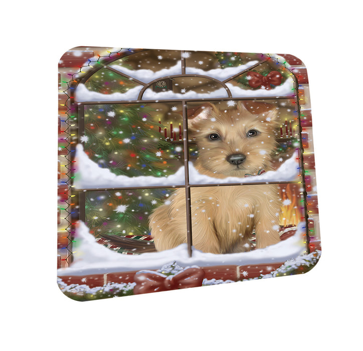 Please Come Home For Christmas Australian Terrier Dog Sitting In Window Coasters Set of 4 CST53571