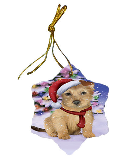 Winterland Wonderland Australian Terrier Dog In Christmas Holiday Scenic Background Star Porcelain Ornament SPOR53721