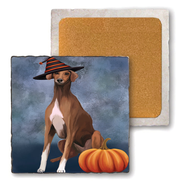Happy Halloween Azawakh Dog Wearing Witch Hat with Pumpkin Set of 4 Natural Stone Marble Tile Coasters MCST49861