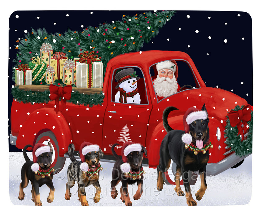 Christmas Express Delivery Red Truck Running Beauceron Dogs Blanket BLNKT141693