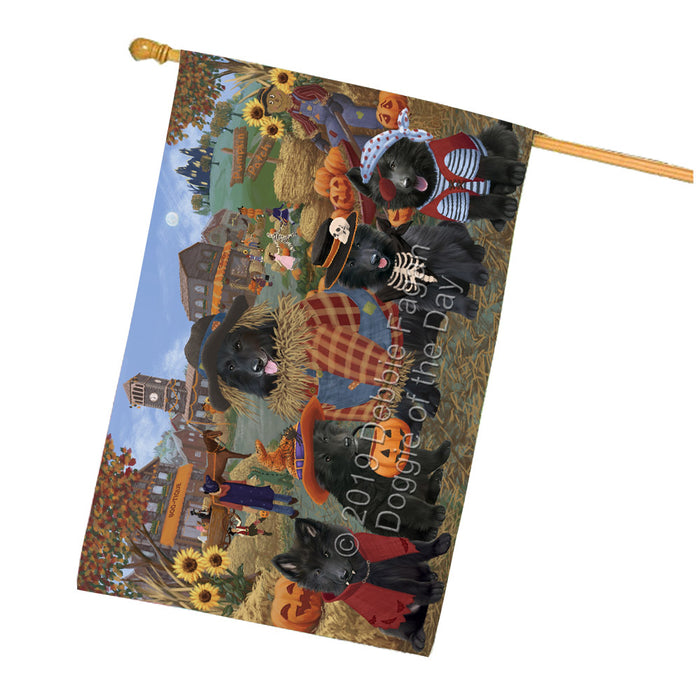 Halloween 'Round Town And Fall Pumpkin Scarecrow Both Belgian Shepherd Dogs House Flag FLG65625
