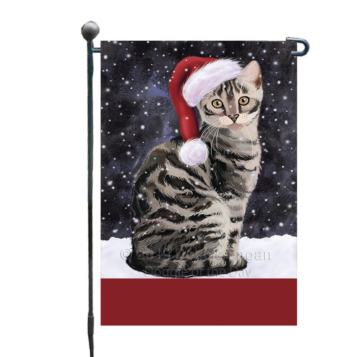 Personalized Let It Snow Happy Holidays Bengal Cat Custom Garden Flags GFLG-DOTD-A62254