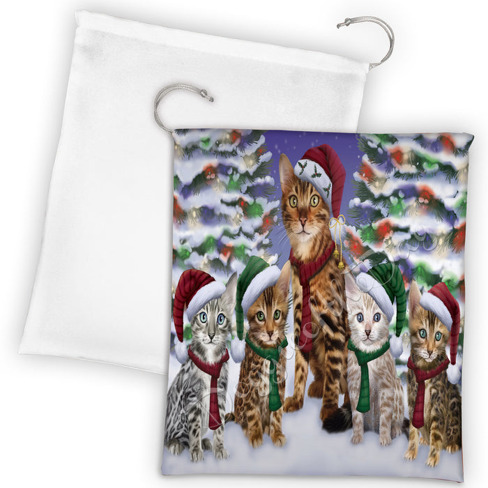 Bengal Cats Christmas Family Portrait in Holiday Scenic Background Drawstring Laundry or Gift Bag LGB48114
