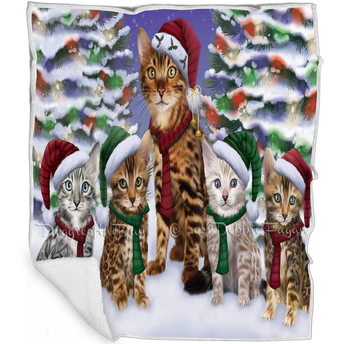 Bengal Cats Christmas Family Portrait in Holiday Scenic Background  Blanket BLNKT90642