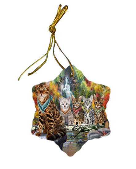 Scenic Waterfall Bengal Cats Star Porcelain Ornament SPOR51815