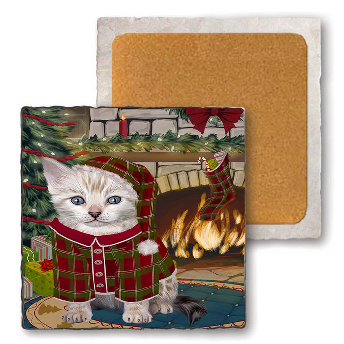 The Stocking was Hung Bengal Cat Set of 4 Natural Stone Marble Tile Coasters MCST50200